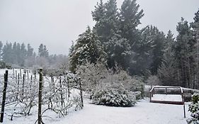 Windrush On Hogsback